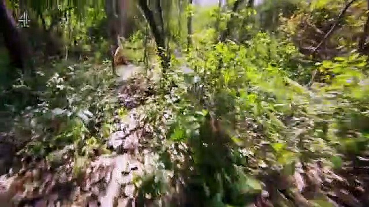 Treasure Island with Bear Grylls - Se1 - Ep03 HD Watch