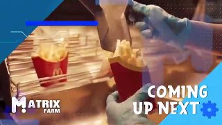 How_Are_McDonald's_French_Fries_Made_-_French_Fries_Processing_Factory_-_Food_Factory_Production_▶56(360p)