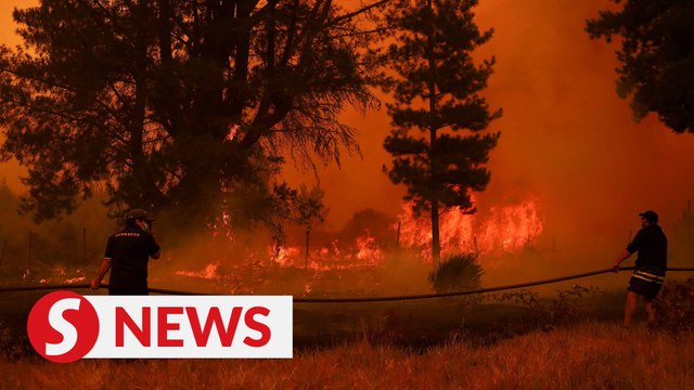 At least 23 dead as dozens of wildfires torch forests in Chile