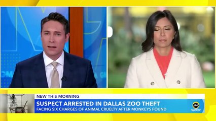 Dallas police arrest man in connection with those kidnapped monkeys - GMA