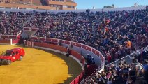 Los perros policía de Torrejón de Ardoz conquistan a una plaza de toros abarrotada