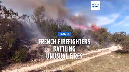 Despite chilly February temperatures, forest fire destroys hectares in France