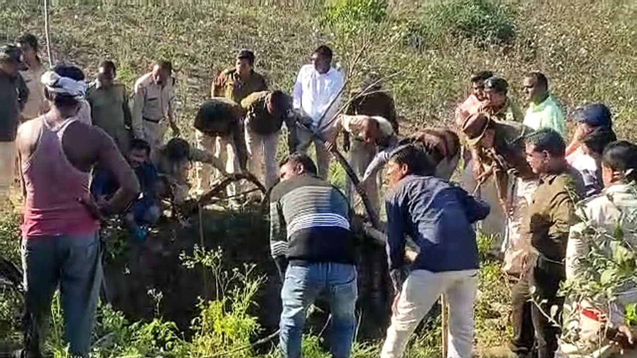 रेस्क्यू...खेत के कुए में गिरा तेन्दुए का शावक निकलते ही दौड़ा
