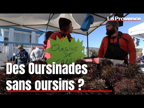 Des Oursinades sans oursins de Carry ?