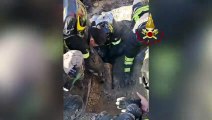 Cane intrappolato in un tubo di scolo, il video del salvataggio