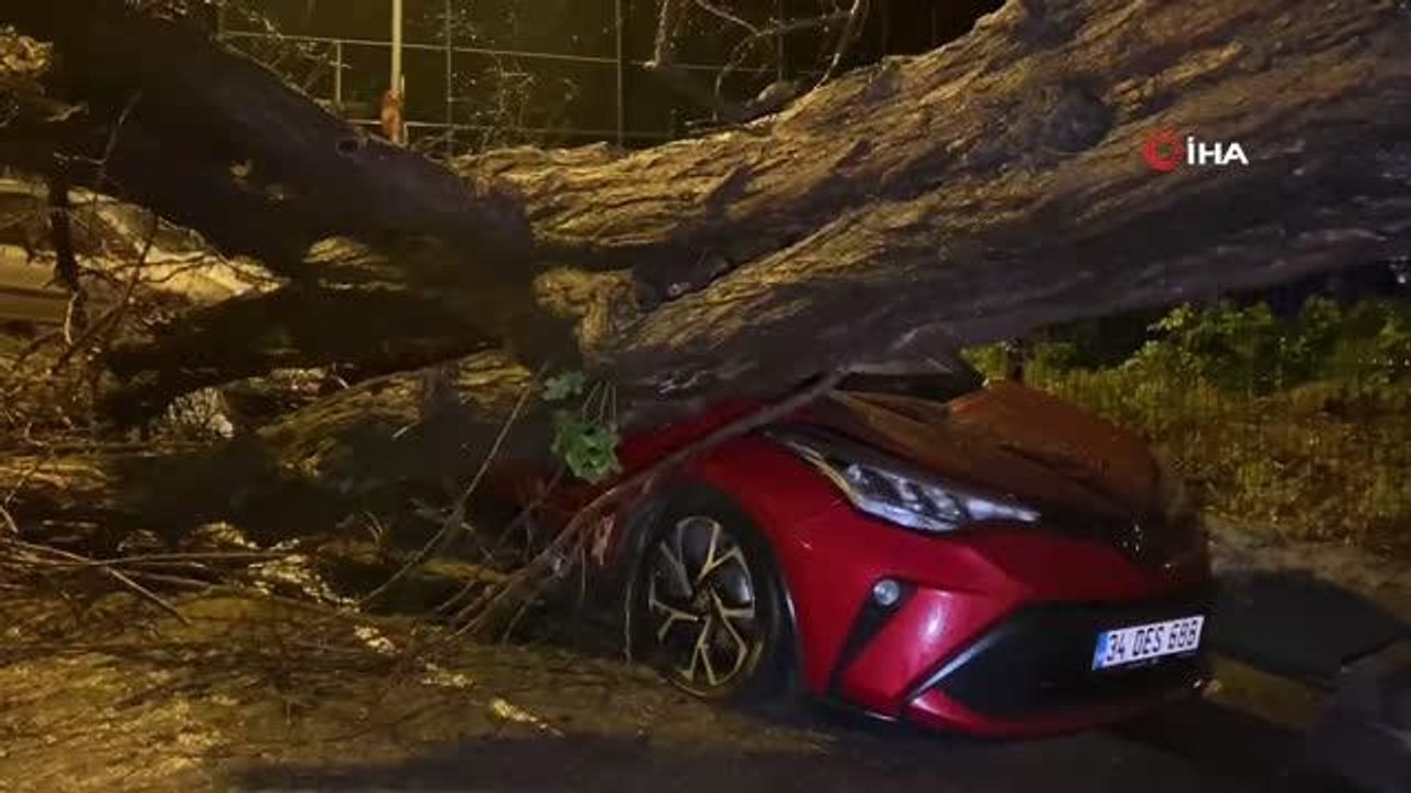 -Üsküdar'da yarım asırlık akasya ağacı iki otomobilin üzerine devrildi