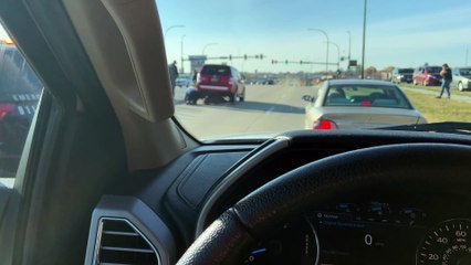 Good Samaritans Help Free Deer Stuck Under SUV