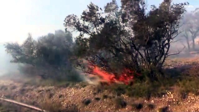 شاهد: بينما ترتعد فرائص أمريكا من البرد.. حرائق غابات بعز الشتاء في فرنسا