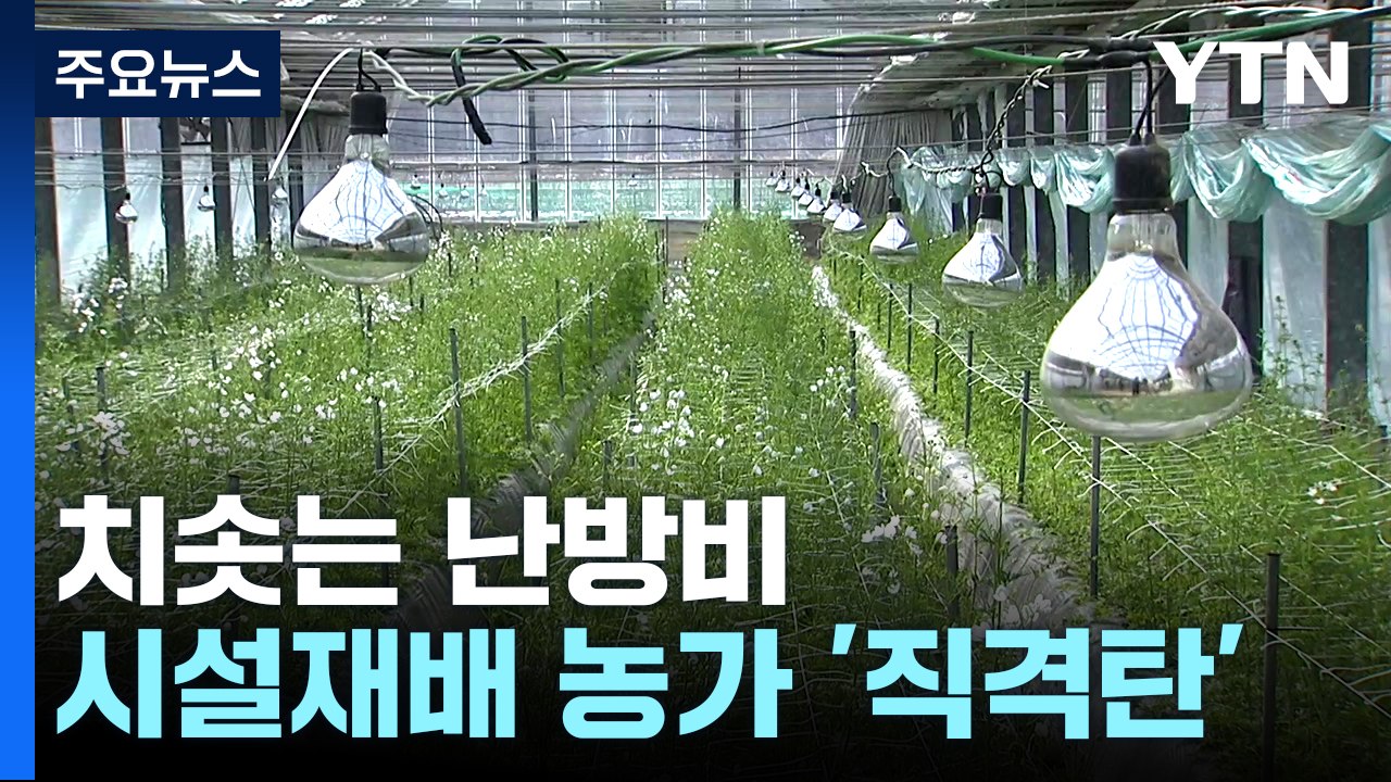 난방비 급등에 시설재배 농가 '직격탄'...지원책 곳곳 구멍 / YTN