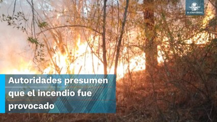 Autoridades de Mixtepec, Oaxaca, piden auxilio para sofocar incendio en el “Cerro del Metate”