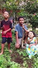 Ayo kita kubur lato-lato hidup-hidup demi keamanan bangsa dan negara