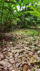 Membuat hulahup kaki berapi dari batok kelapa