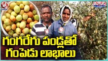 Kashmiri Ber Apple Cultivation , Farmers Gets Huge Profits _ Nizamabad _ V6 Weekend Teenmaar (1)