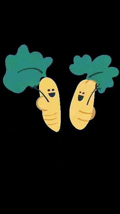 CARROT. Spelling Practice.