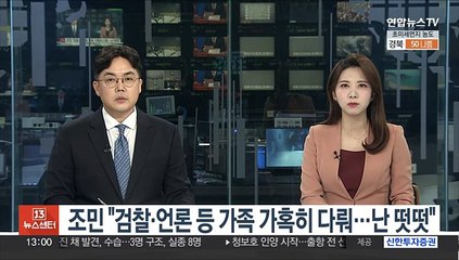 조민 "검찰·언론 등 가족 가혹히 다뤄…난 떳떳"