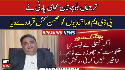 BAP accuses PDM of backstabbing. Will they part ways with govt?