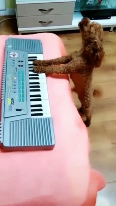 Playing Piano