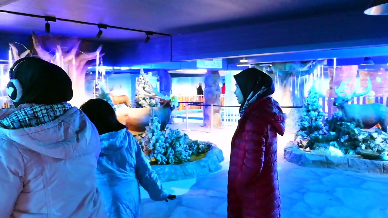 Farha Jatuh Time Main Salji?!  | BK D'EXPLORER | BINTANG KECIL