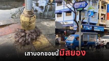 ขนลุก ! เมื่อน้ำท่วมรอระบาย น้อนนก็หนีตายขึ้นมาหลบซุกเสา เห็นแล้วแทบกรี๊ด