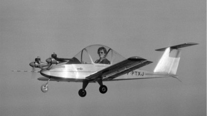 Cricri, le plus petit avion bimoteur du monde
