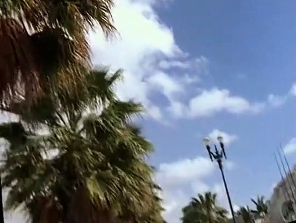 Pensacola - Wings of Gold S01 E20