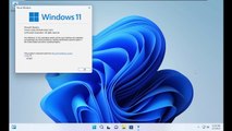 Tiny 11 - Una versión modificada y más ligera de Windows 11