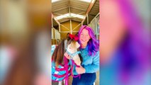 Woman creates matching outfits for miniature horses and their owners