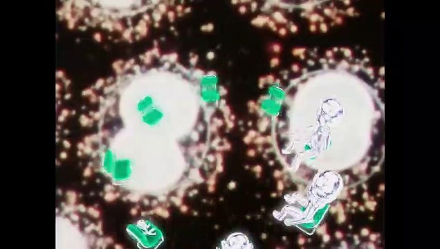 God’s Time Bande-annonce VO