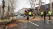 Asırlık çınar ağacı devrildi; Dolmabahçe caddesi trafiğe kapandı