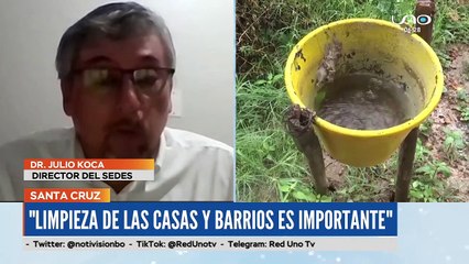 Sistema de salud colapsado por casos de dengue