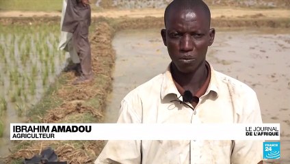 Niger : 7% de croissance prévue en 2023, les commerçants en attendent des bénéfices économiques