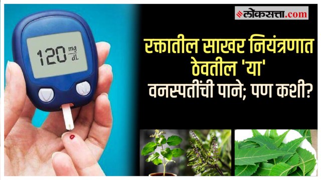 Health Tips: मधुमेह ग्रस्तांसाठी 'या' वनस्पतींची पाने कशी ठरतात गुणकारी, जाणून घ्या.
