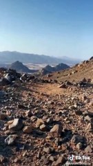 فيديو لاصطياد 3 وعول برية.. و"الحياة الفطرية" يؤكد: تم الرصد