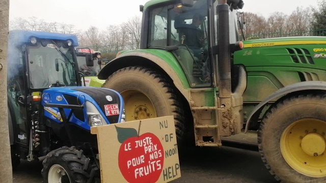 Les producteurs de fruits tirent la sonnette d'alarme au Comeos sur les prix trop bas