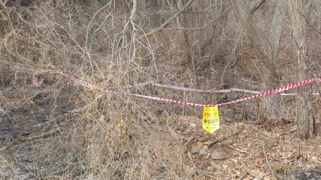 경북 울진 산불서 '방화 정황' 확인...방화범 추적 중 / YTN