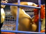 Hulk Hogan vs Andre the Giant - Wrestlefest 1988