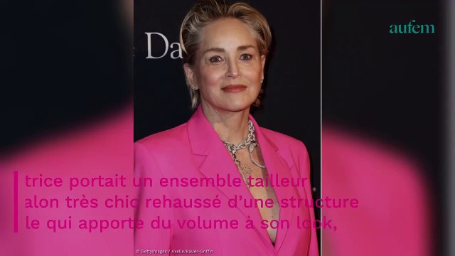 Sharon Stone : cheveux blancs et total look rose, elle est époustouflante à 64 ans