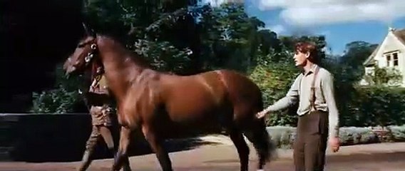 War Horse (Caballo de batalla) | movie | 2011 | Official Trailer