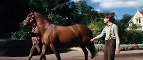 War Horse (Caballo de batalla) | movie | 2011 | Official Trailer