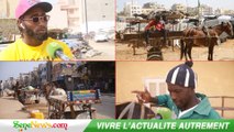 Bientôt plus de charretiers à Dakar : Est-ce une bonne ou mauvaise décision ?