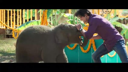 Junglee (2019) – Aventuras Familiares con Vidyut Jammwal | Tráiler Oficial 🐒