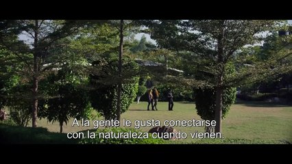 Behind the Trees | movie | 2019 | Official Trailer