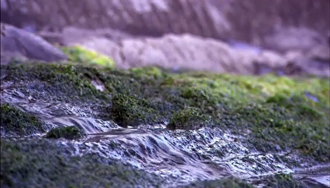 Flysch, el susurro de las rocas | movie | 2009 | Official Trailer
