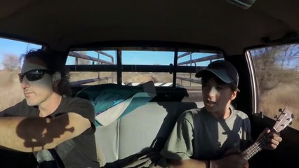 Panteras: Viviendo entre felinos | movie | 2021 | Official Trailer