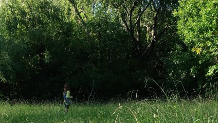 La forma del bosque | movie | 2021 | Official Trailer