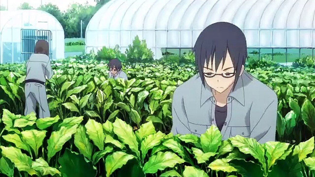 No-Rin | show | 2014 | Official Trailer