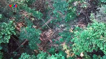 XEM LẠI PHIM - THANH XUÂN TƯƠI ĐẸP , TẬP 9