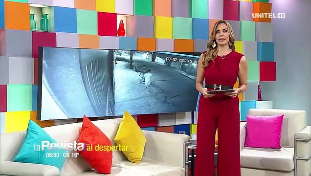 Vecinos denuncia ola de robos en el barrio Petrolero, cámaras captaron a los antisociales