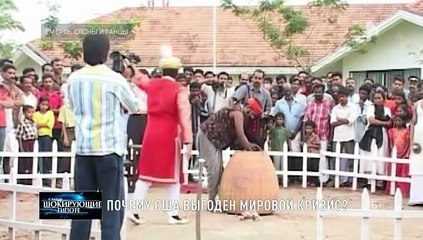 Тайны Чапман (Смерть, слоны и танцы)