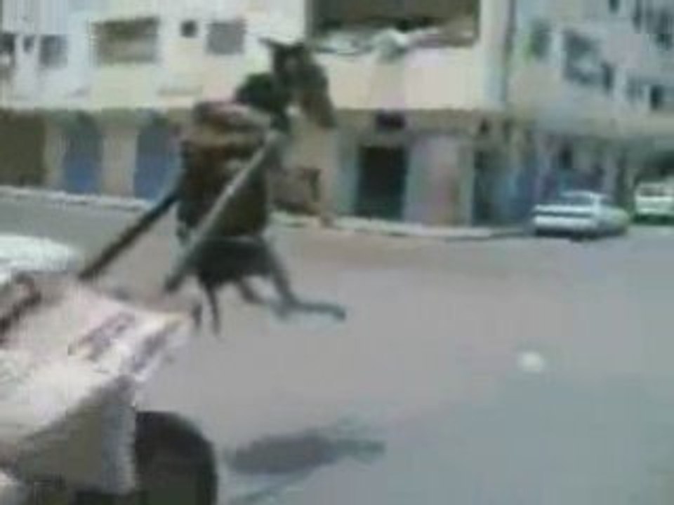 06ef31ee17d13422[1].wmv